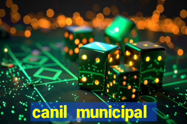 canil municipal porto alegre